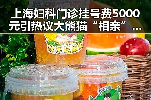 上海妇科门诊挂号费5000元引热议 大熊猫“相亲”背后隐藏的秘密