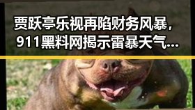 贾跃亭乐视再陷财务风暴,911黑料网揭示雷暴天气背后隐藏的明星八卦